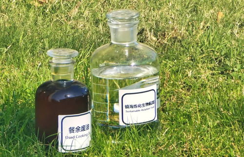 地溝油變身高性能航空燃料 國產大飛機試飛成功背后的綠色動力革命